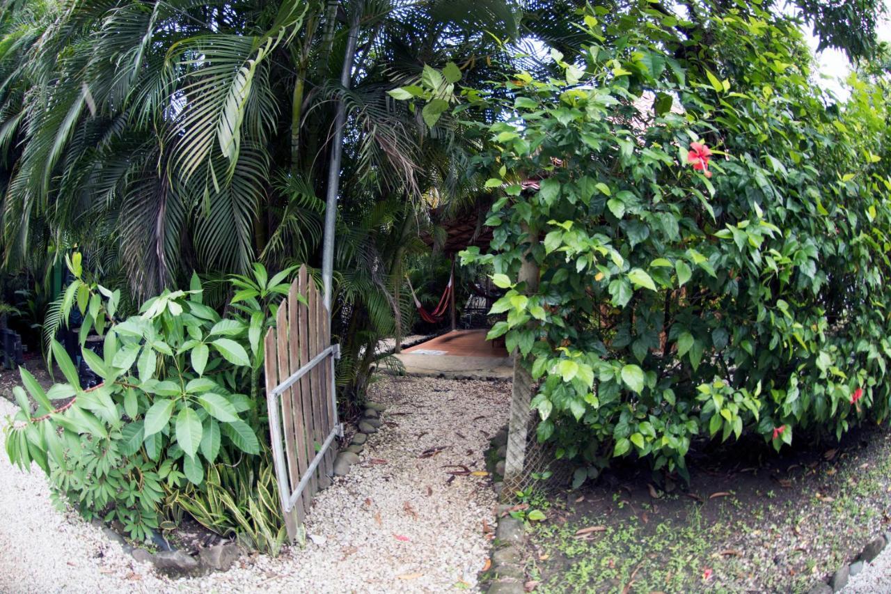 Disfrutalo Hotel Playa Santa Teresa  Ngoại thất bức ảnh